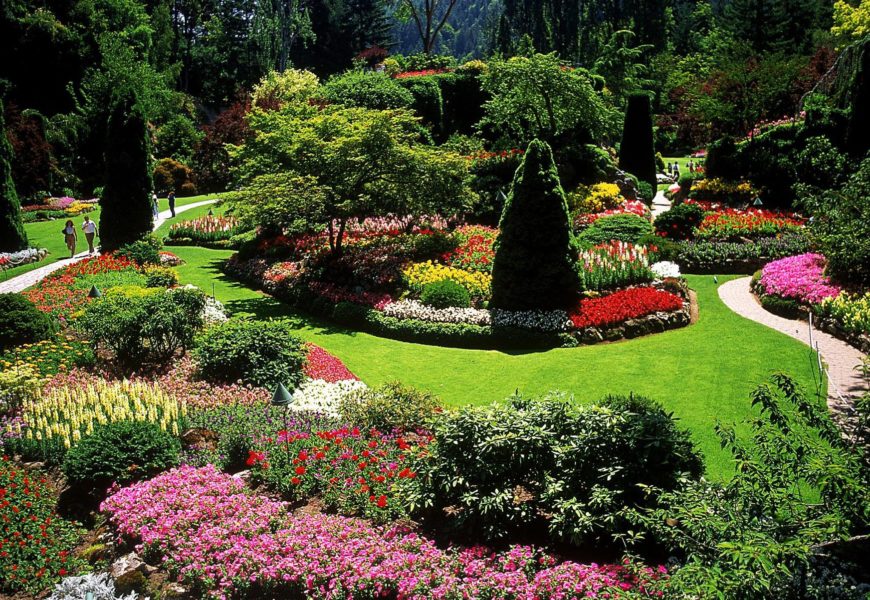 Ландшафтный дизайн