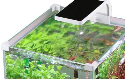 Светильник в аквариум: действительно ли он так нужен?