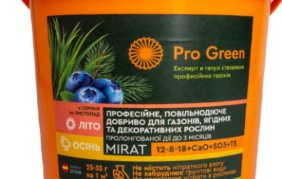 Осіннє підживлення газону: як підготувати траву до холодного сезону